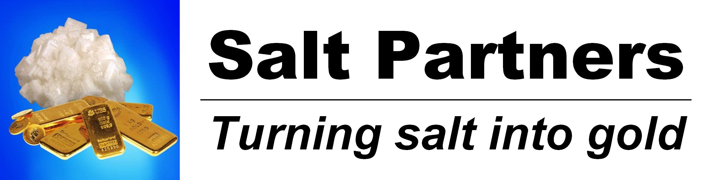 Salt Partners Ltd.